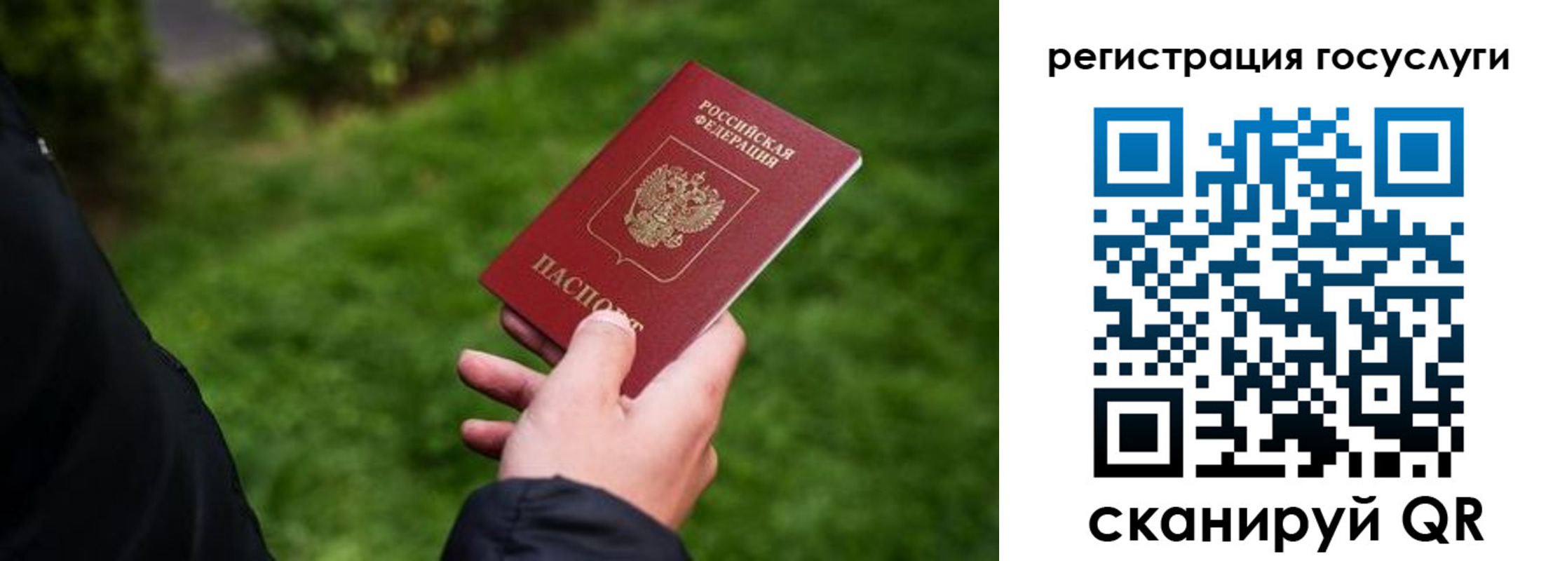 прописка в Цимлянске